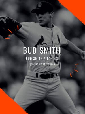 Art of Baseball - Bud Smith